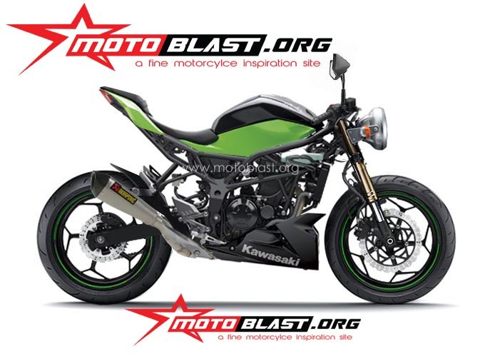 ninja-250-rr-mono-plontos-2.jpg?w=625