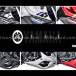 Varian-warna-MT25