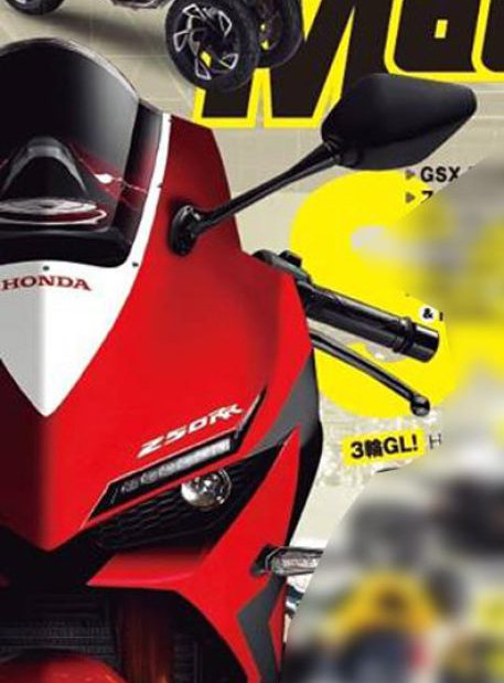 youngmachine-cbr250rr2