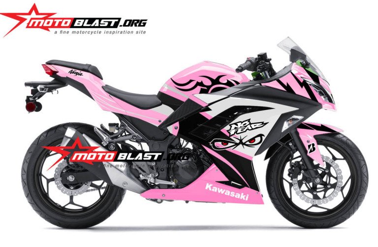 ninja 250 BLACK- NO FEAR-PINKY BOY1
