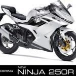 RENDER-NEWNINJA 250R FI
