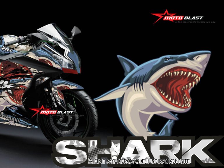 ninja-250r-fi-shark2