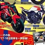 CB250R YOUNG MACHINE