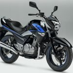 suzuki inazuma special edition 1