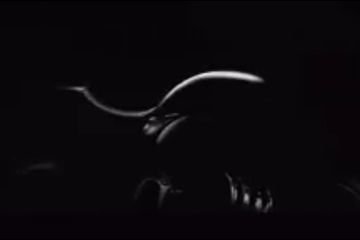 2817664350