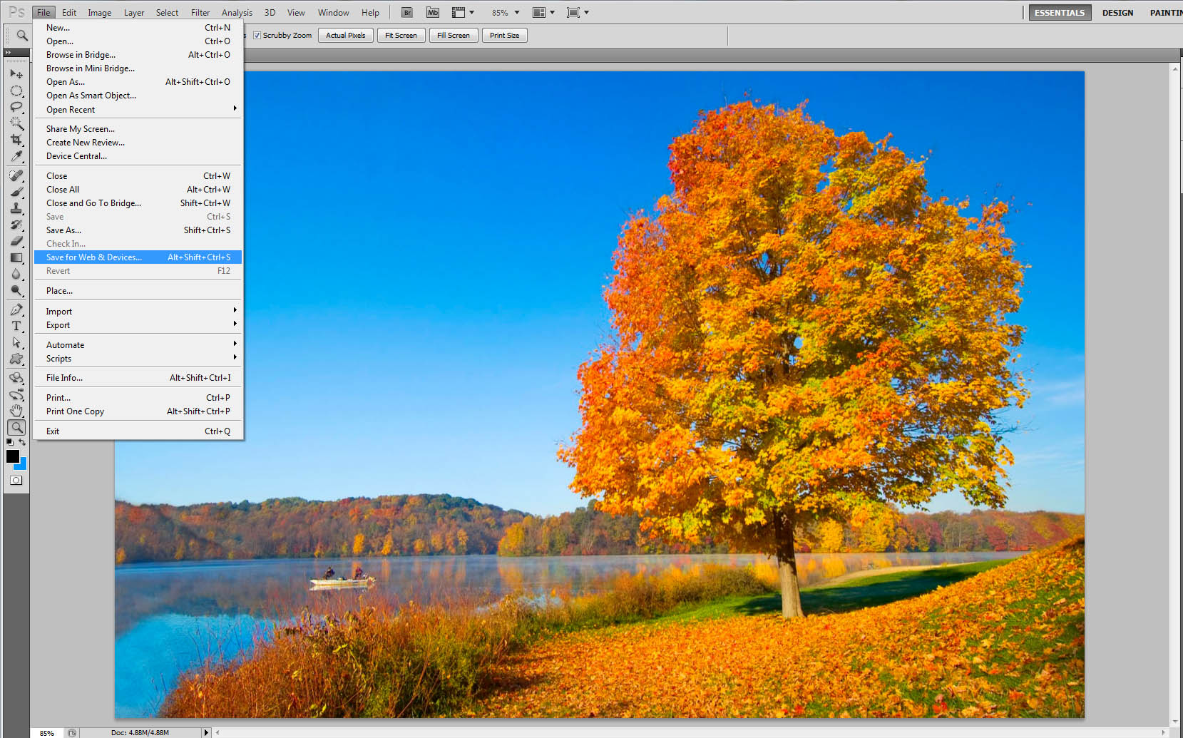 Tutorial Save for web bagaimana Mengecilkan File JPEG di