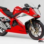 CBR250RR DUCATI 2018-motoblast3c