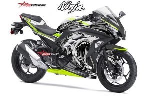4 NINJA 250R FI WOLF WA1b