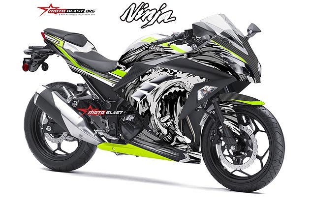 4 NINJA 250R FI WOLF WA1b