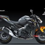 All New Kawasaki Z250 2019-1b