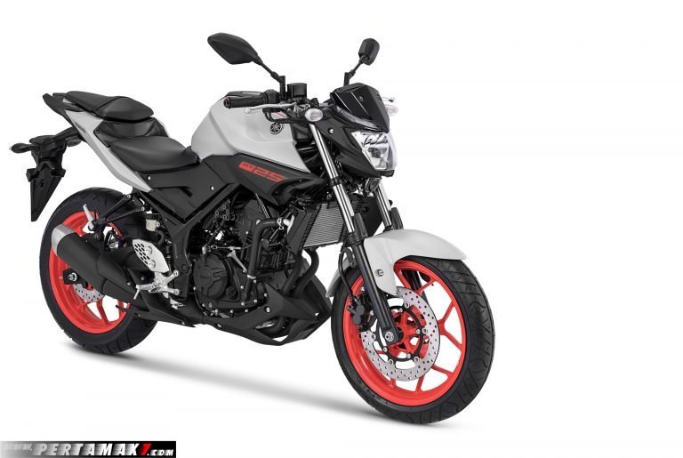 Warna-Baru-Yamaha-MT-25-Versi-2019-Matte-Grey-.jpg