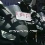 headlamp-r25-lucu.jpg