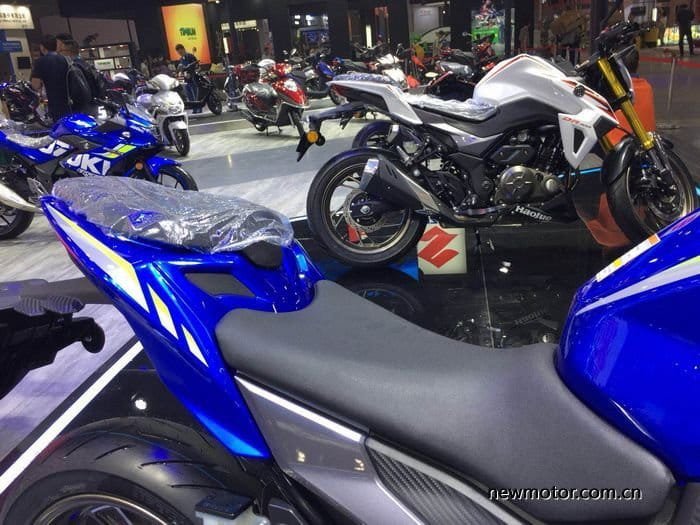 Haojue DR300-calon Gsx-s250-3.jpg