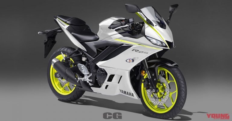 Yamaha R25 2019 youngmachine 3.jpg