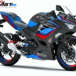 3 NINJA 250R FI 2018 BMW SAFETY GP2.jpg