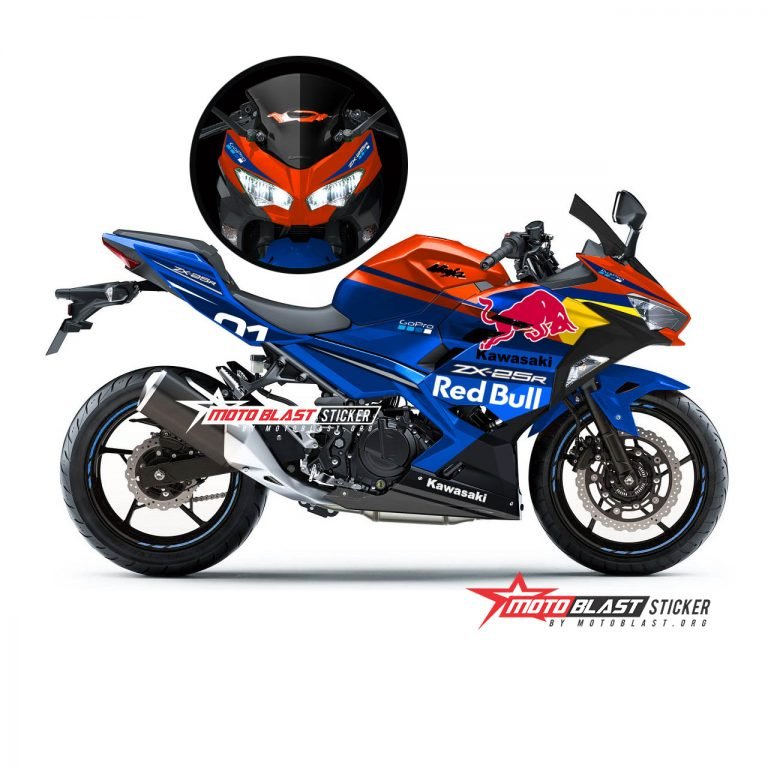 NINJA 250R FI REDBULL GOPRO