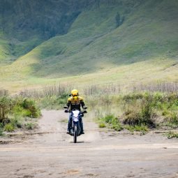 wr155 bromo4