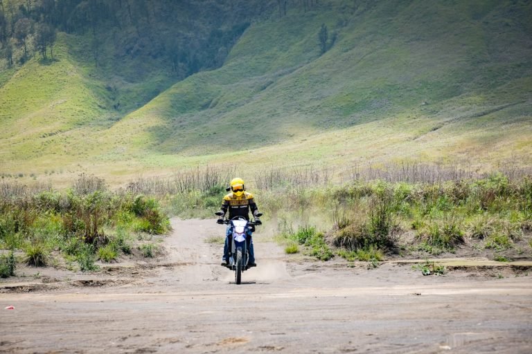wr155 bromo4