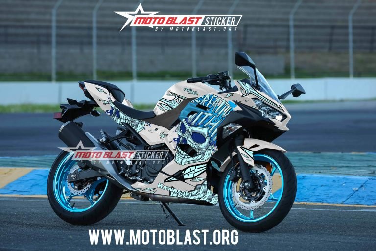 KAWASAKI NINJA 250R-SKULL