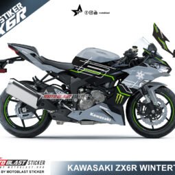 ZX6R-WINTER