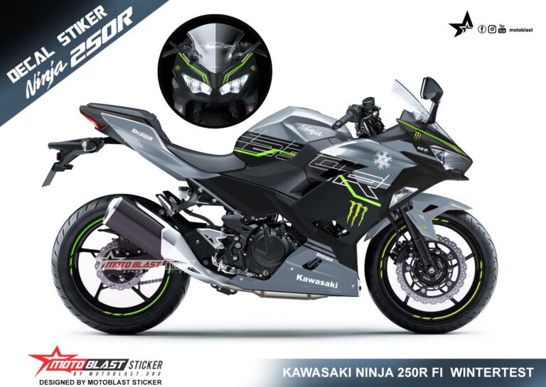 1 NEW NINJA 250R FI 2018 wintertest