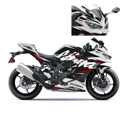 6 ZX25R WHITE BLACK NINJA