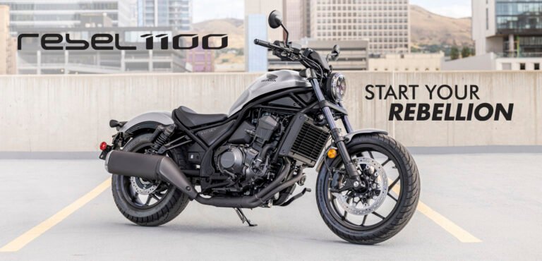 rebel 1100
